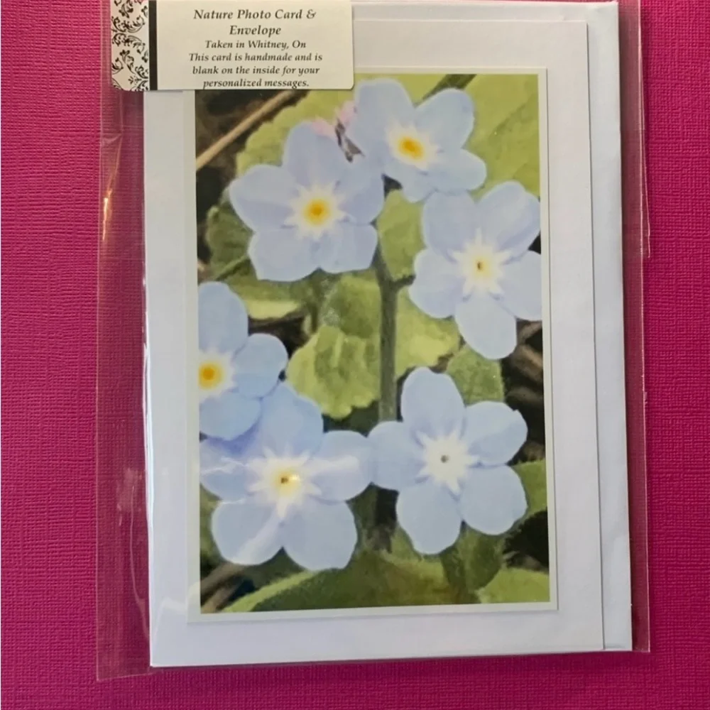 2 for $30 Nature Photo Blank Greeting Cards. Algonquin Spring set of 4 - Picture 5 of 8